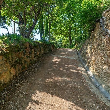 Piccozzo Agritour Casciana Terme Exterior foto