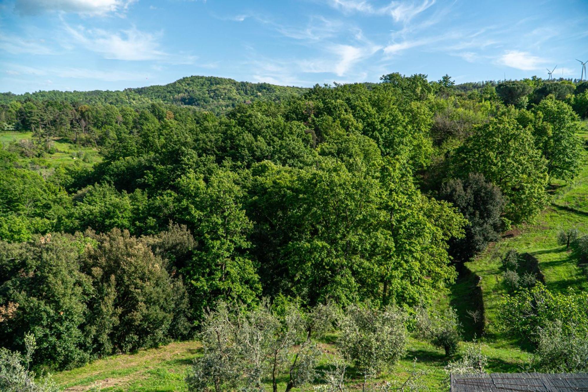 Piccozzo Agritour Casciana Terme Exterior foto