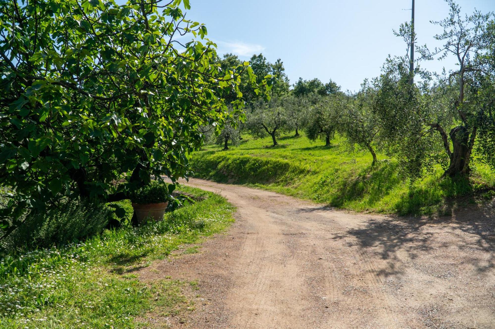 Piccozzo Agritour Casciana Terme Exterior foto